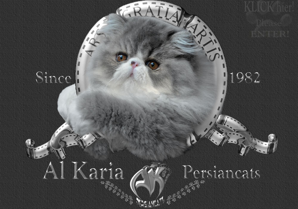 Al Karia Persiancats